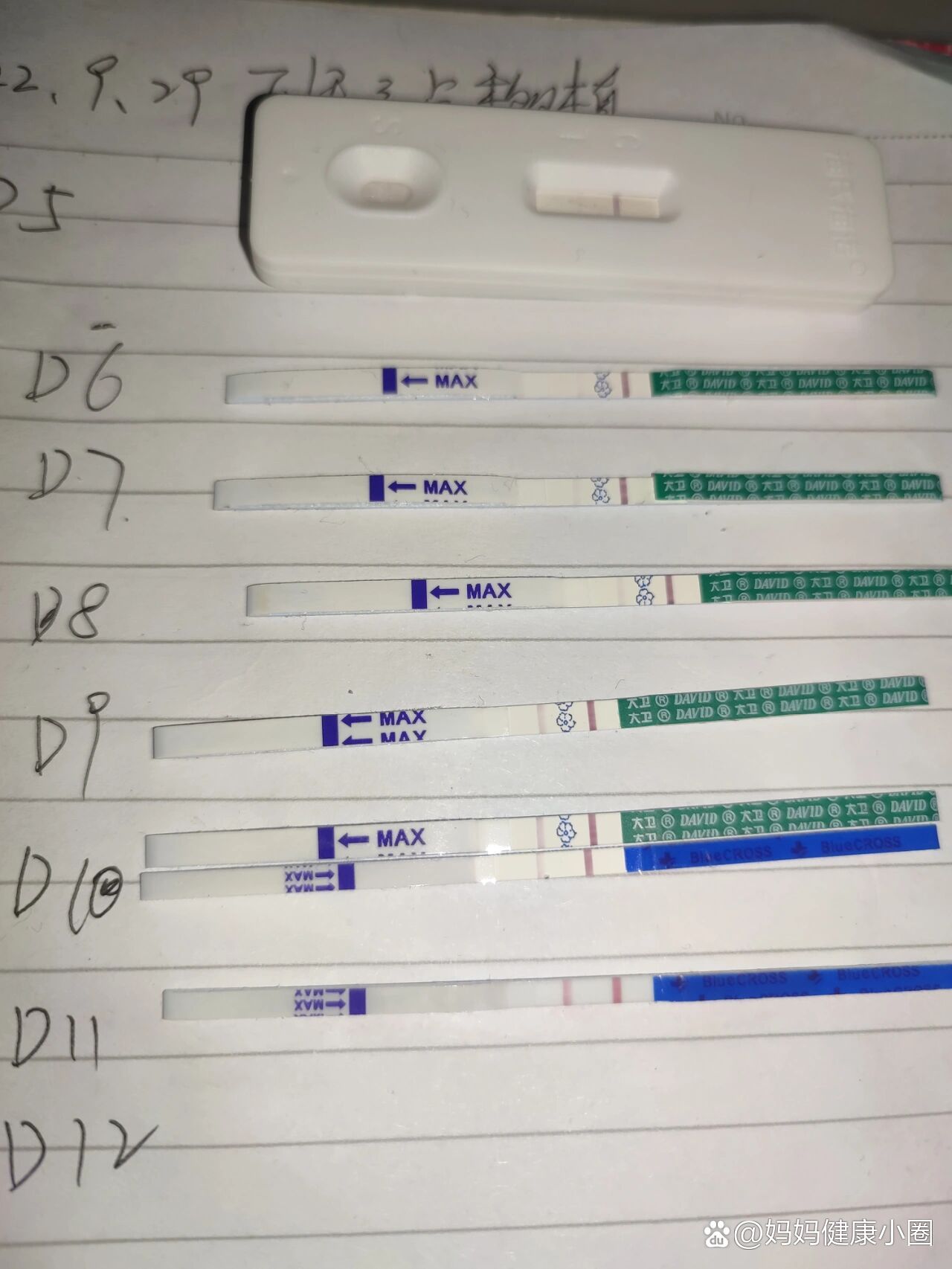 今天换试纸了,还有几条蓝梦知孕,我用了,没有大卫显色好,但是