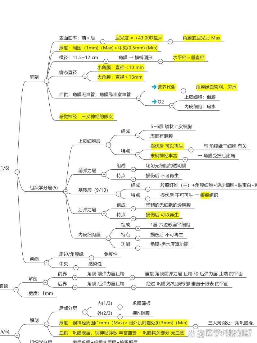 眼科学•眼的解剖👀思维导图太长了 我懒得截图
