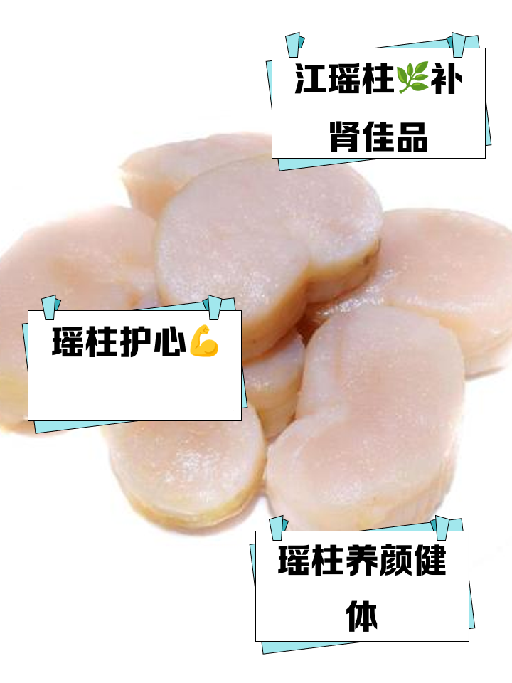 江瑶柱的功效与作用