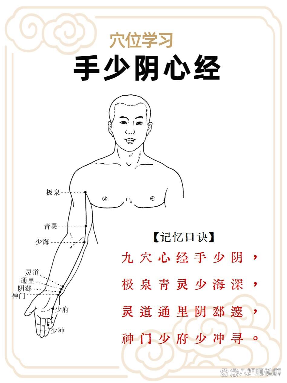 心经走向经络图图片