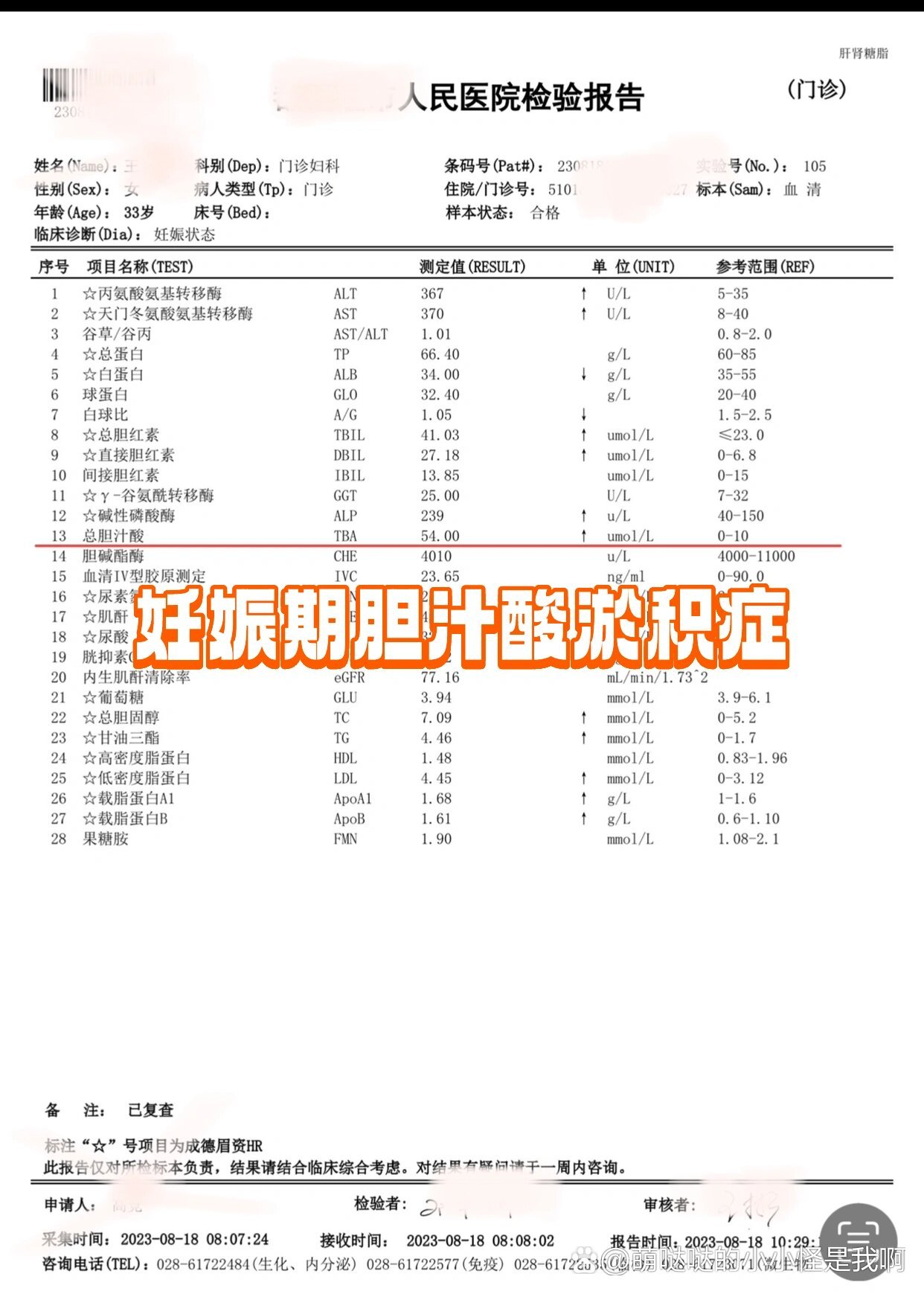 胆汁酸高怎么办图片