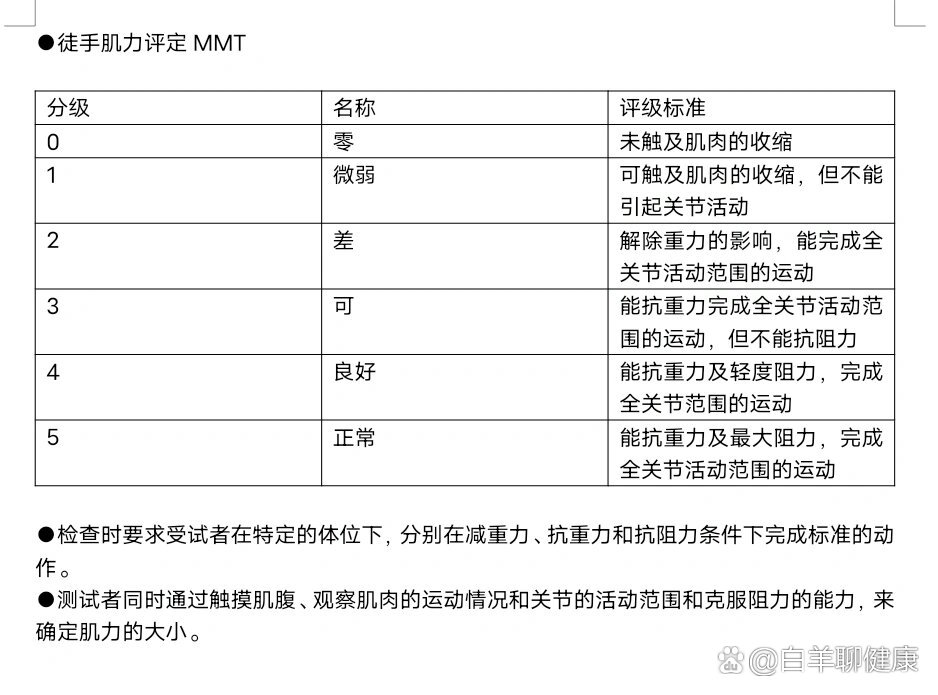 mmt徒手肌力评定量表