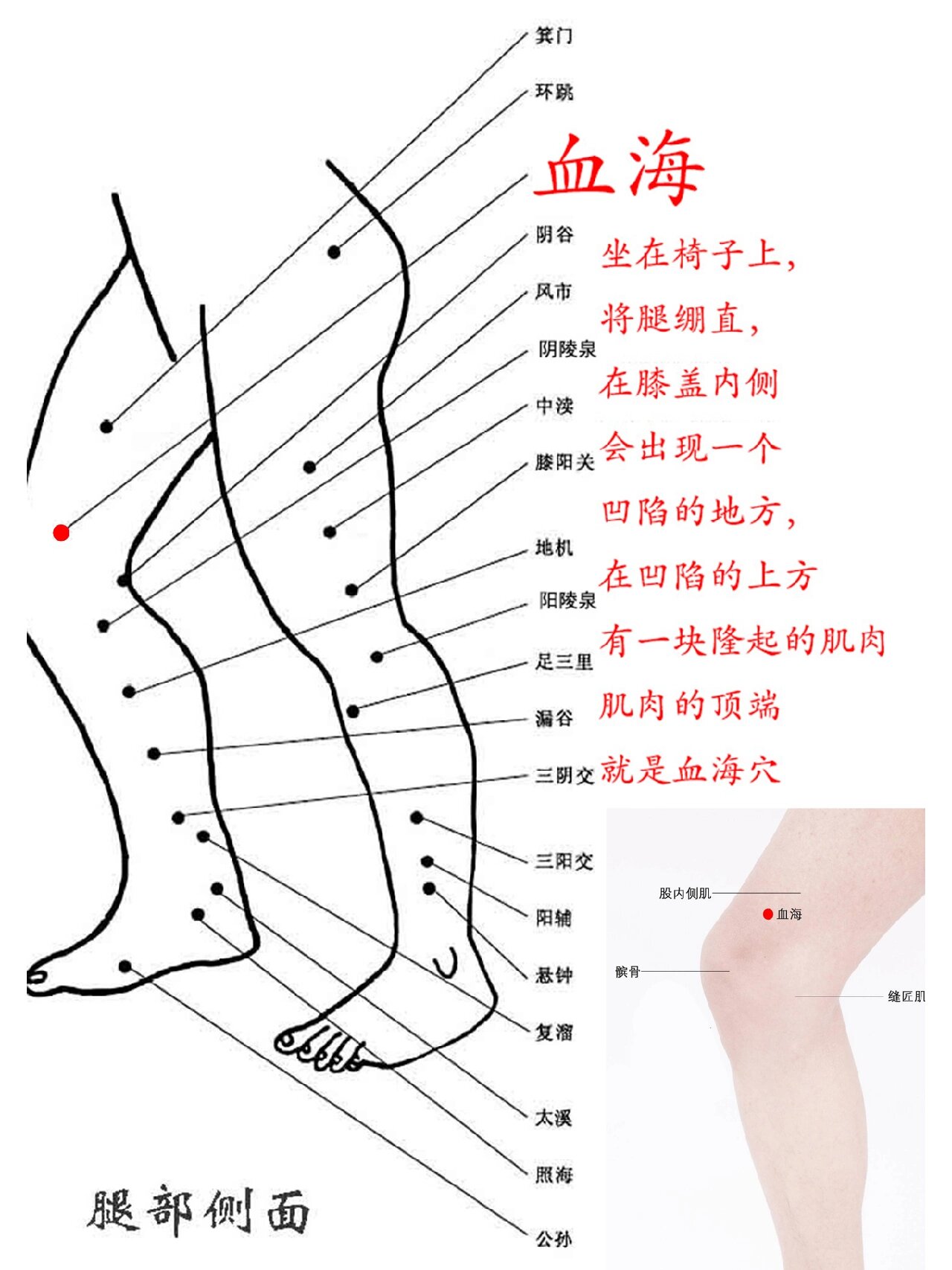 每日一灸,血海穴"补xue养颜❗祛斑穴位"