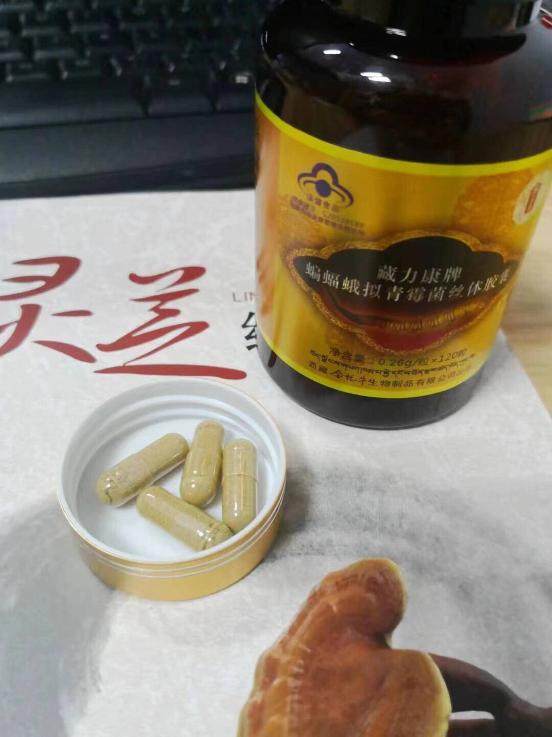 藏力康牌蝙蝠蛾拟青霉菌丝体胶囊