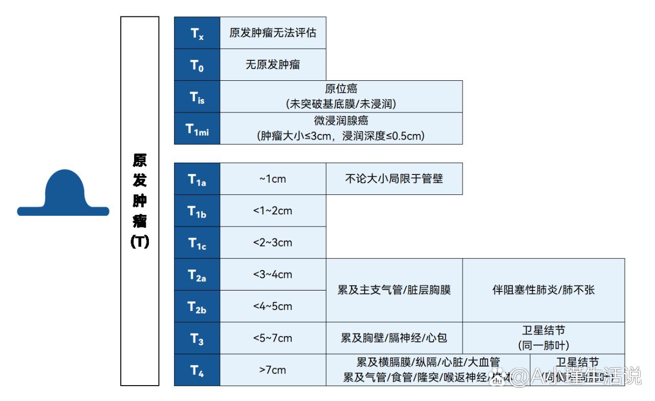 肺癌tnm分期第9版图解图片