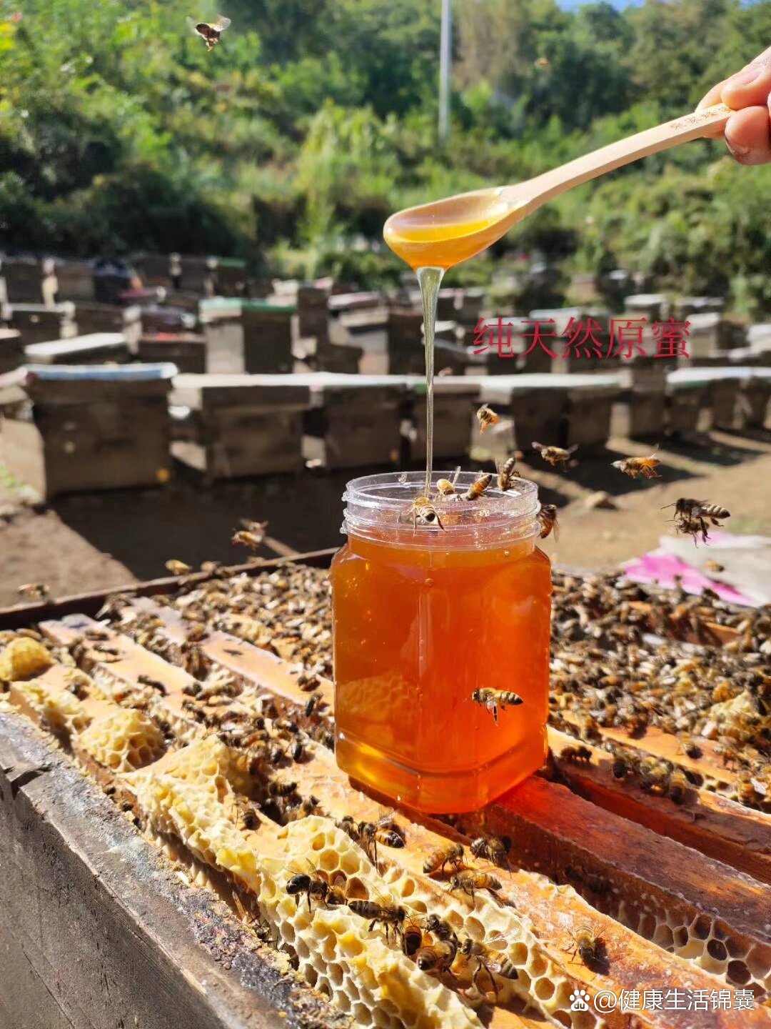 蜂蜜水的作用与功效