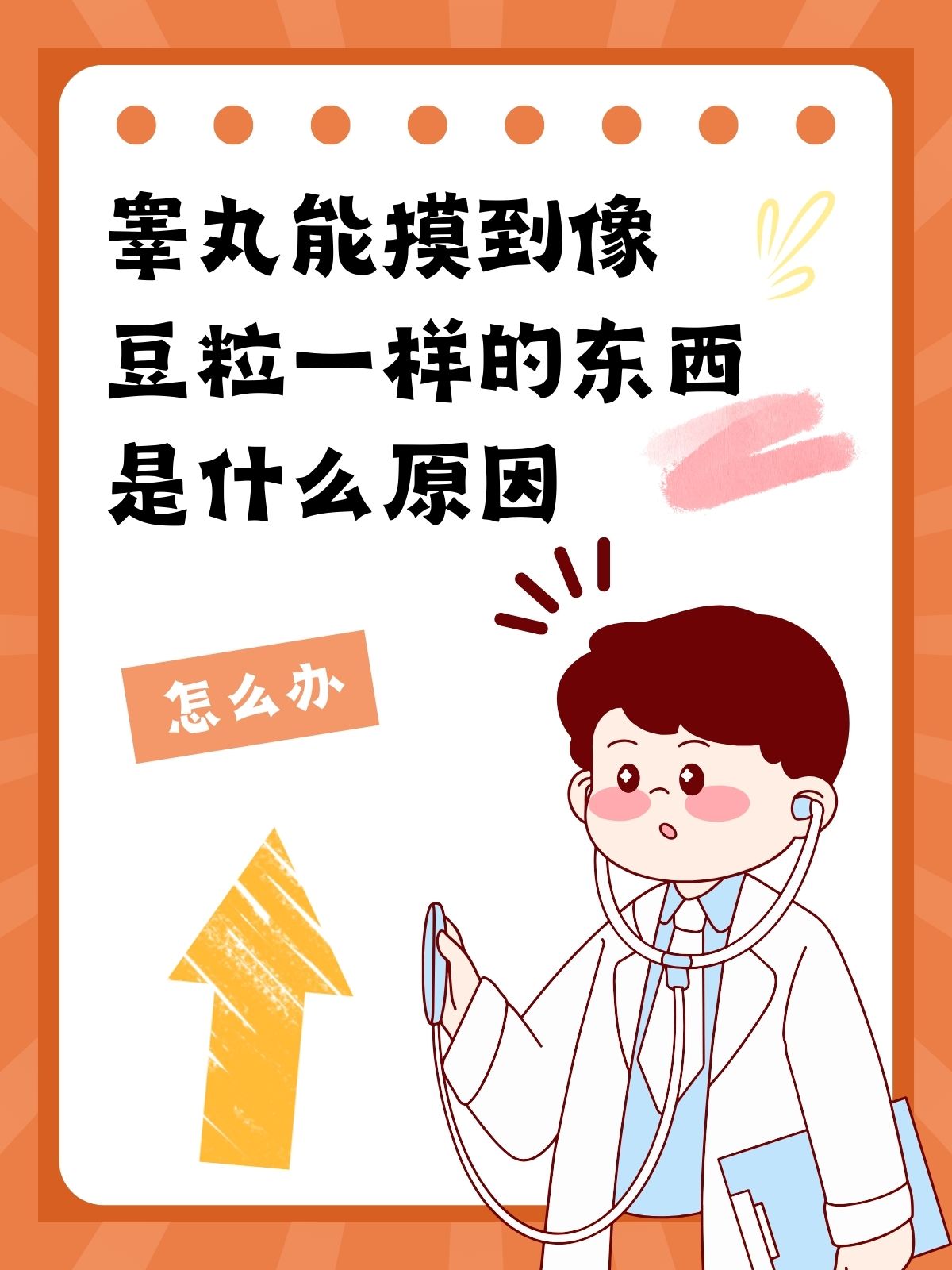 睾丸能摸到像豆粒一样的东西是什么原因怎么办