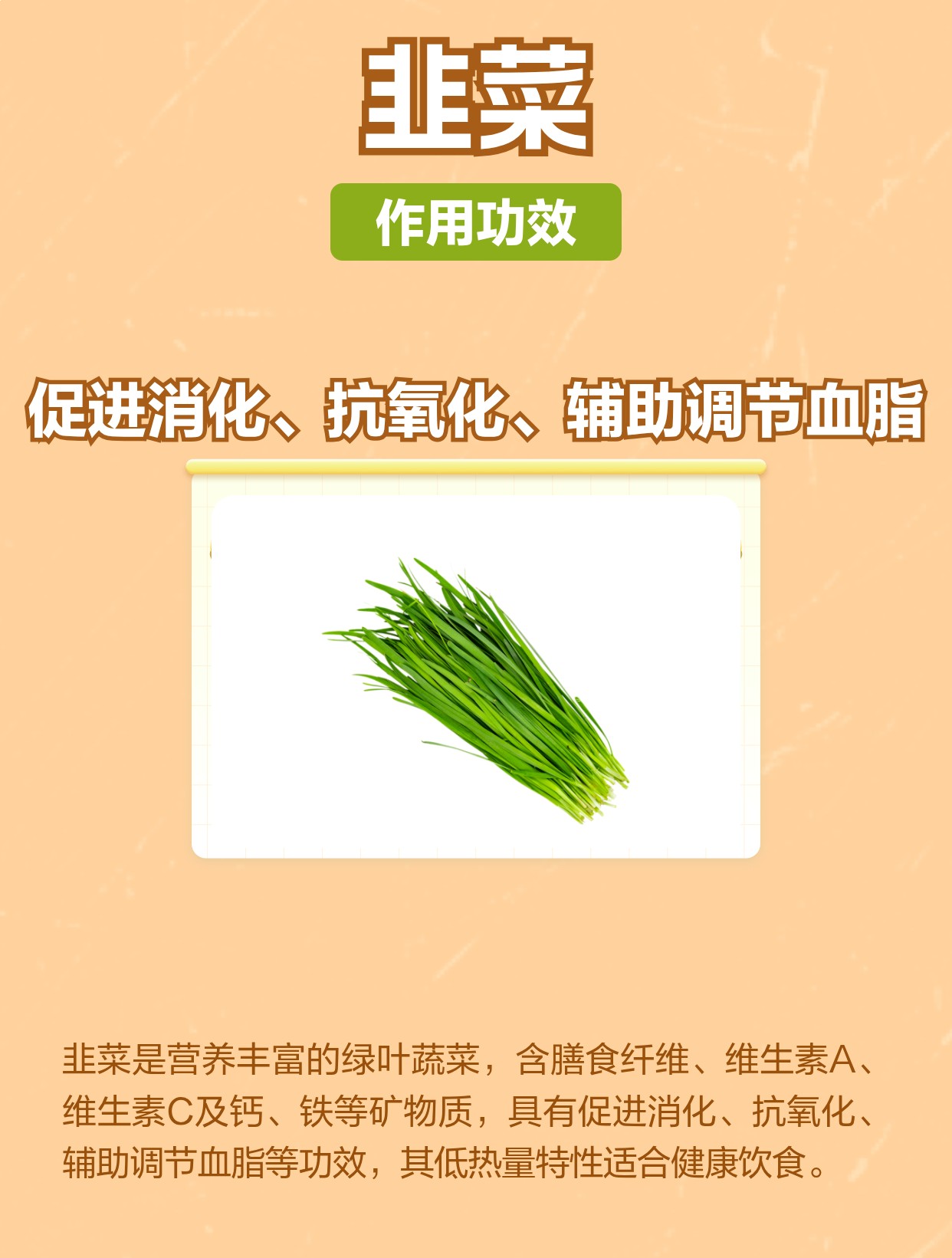 吃韭菜的好处与功效| 百度健康·医学科普