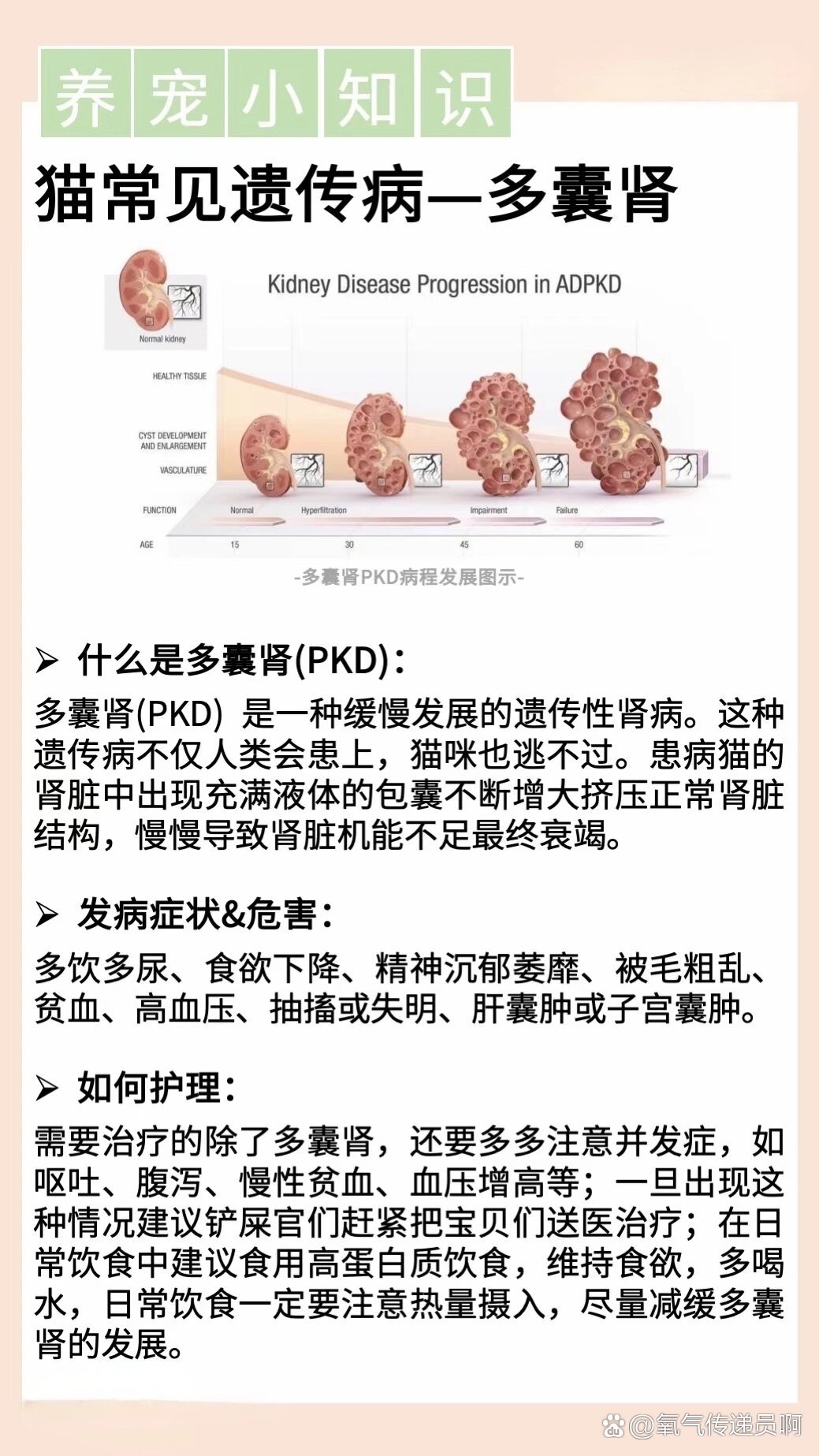 多囊肾一般寿命图片