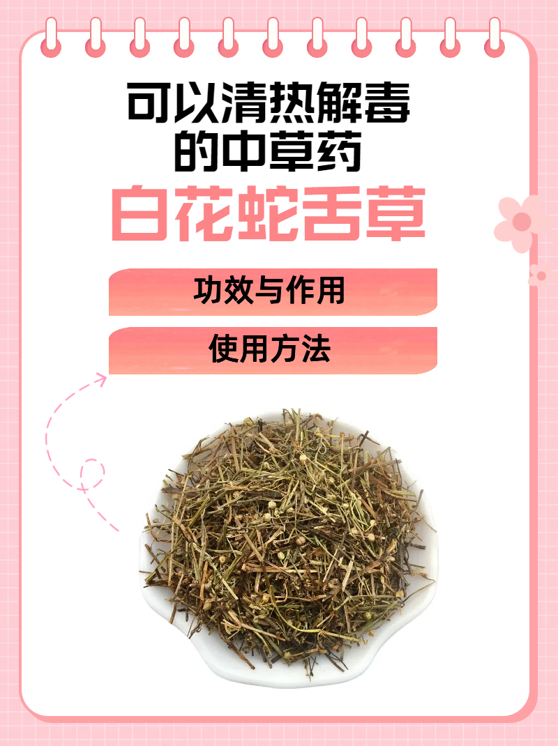 治疗蛇毒的草药有哪些图片