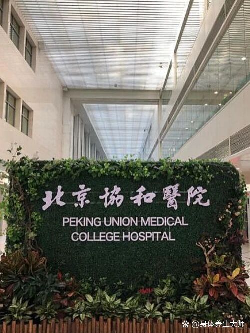 北京世纪坛医院、协助就诊，就诊引导黄牛票贩子号贩子电话的简单介绍