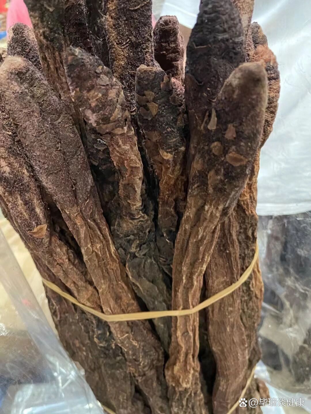 今日药材野生锁阳