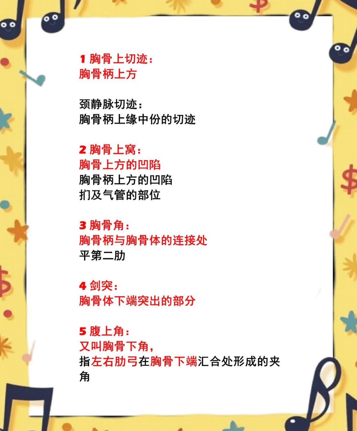 剑突的位置及其周边结构详解