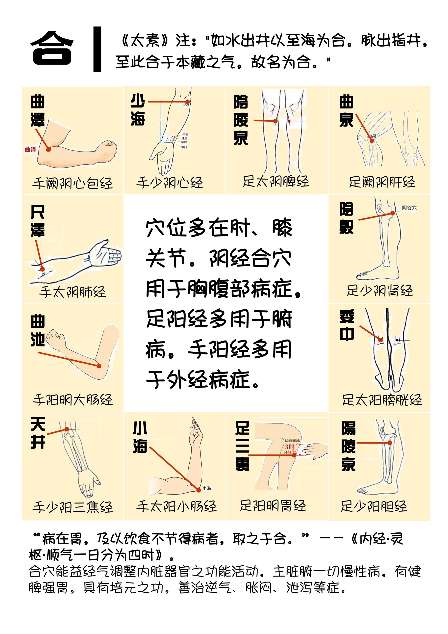 十二经络起点至止点图图片