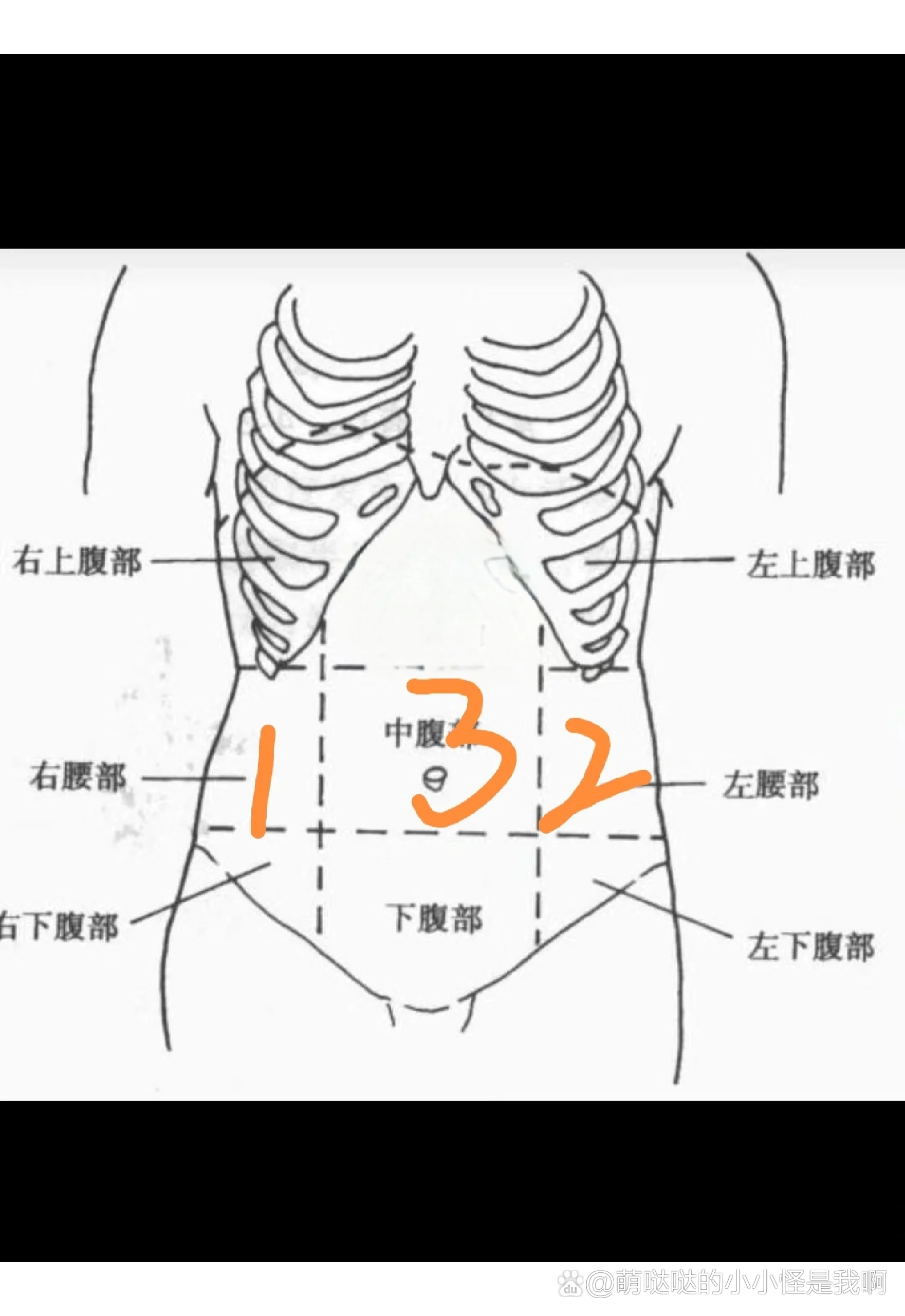 岔气的位置图片图片