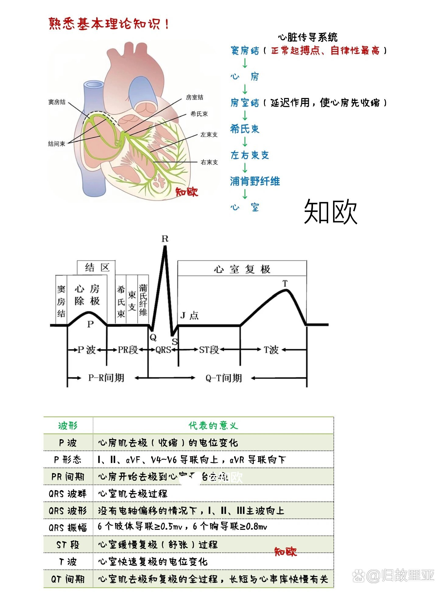 看懂这21个心电图