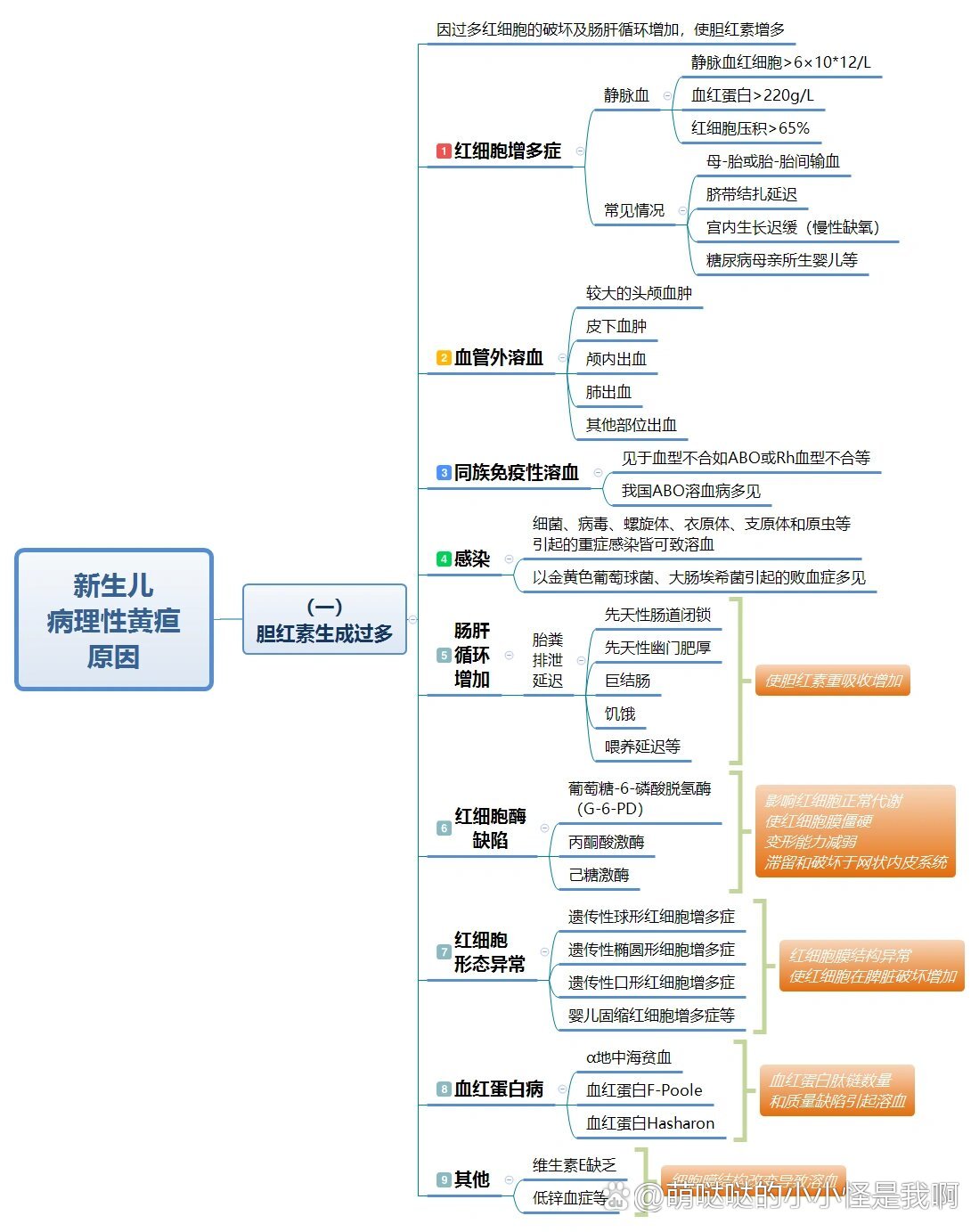 新生儿黄疸思维导图图片