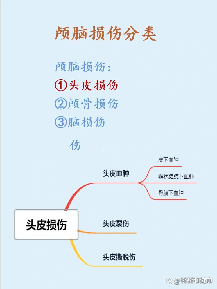 外科|颅脑损伤分类