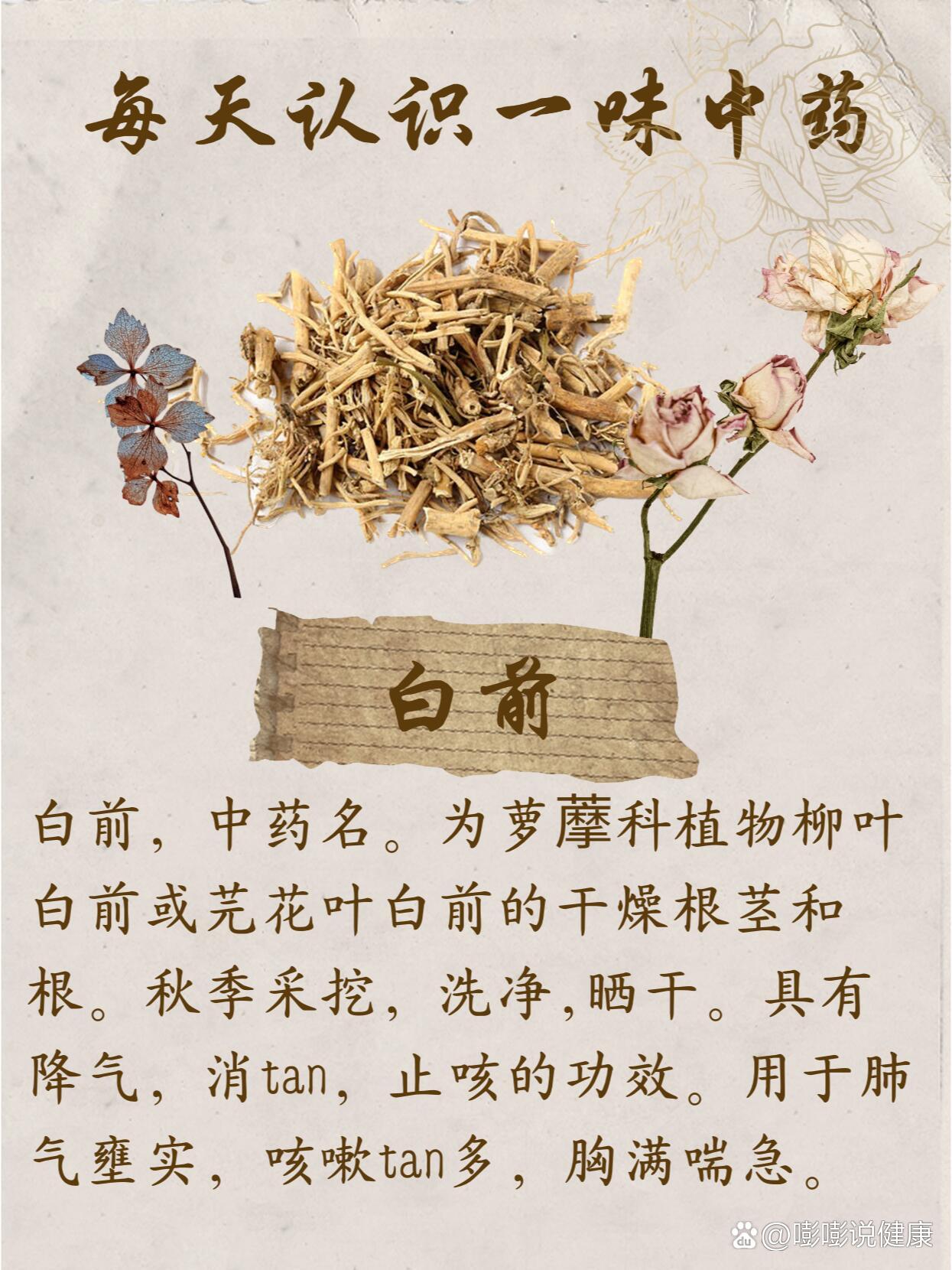 白前的功效与作用图片