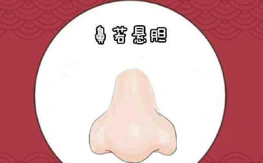 🦁狮子鼻与🐷悬胆鼻：富贵之相的秘密