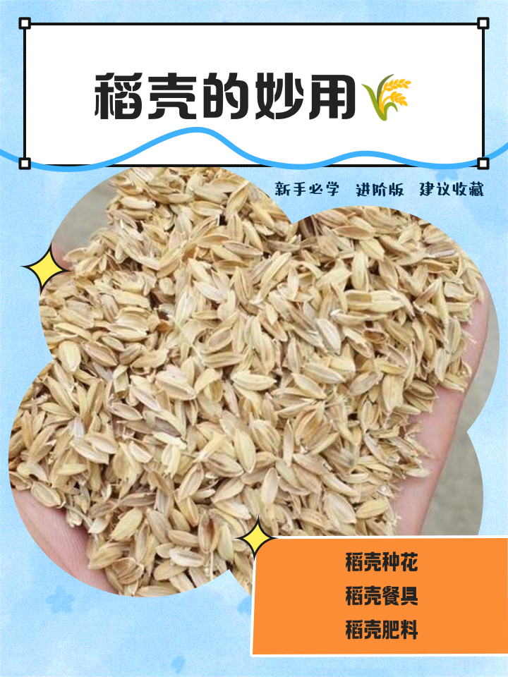 稻壳的妙用🌾