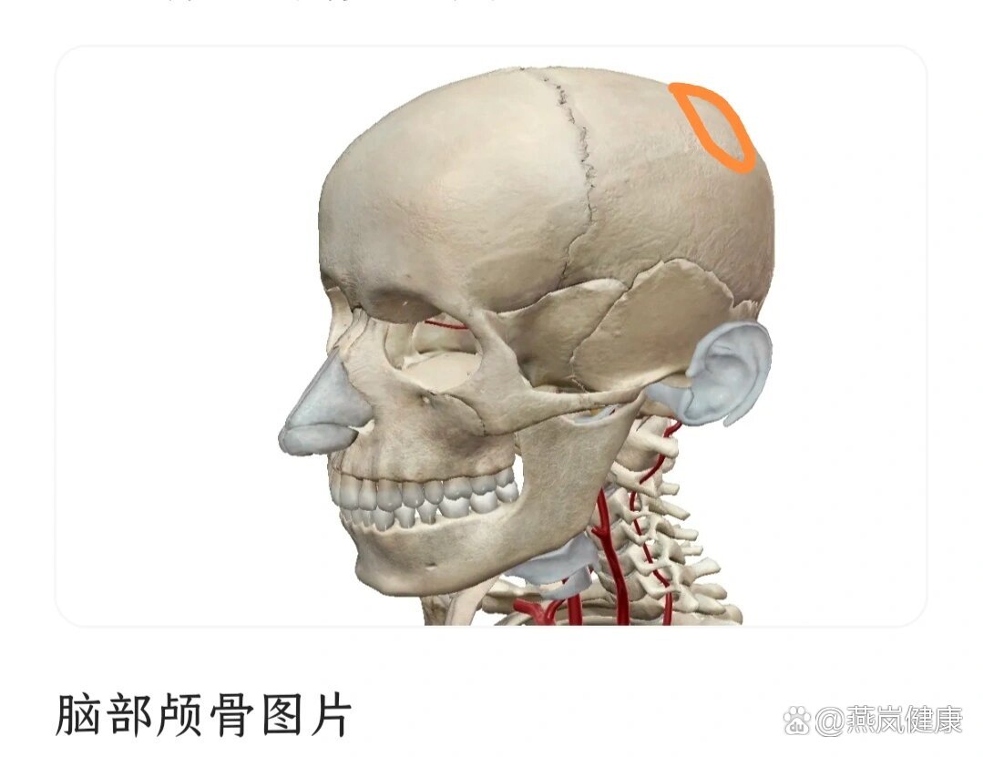家人们谁懂啊,突然发现头顶有个坑