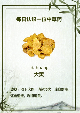 🌿熟大黄的奥秘与功效💪