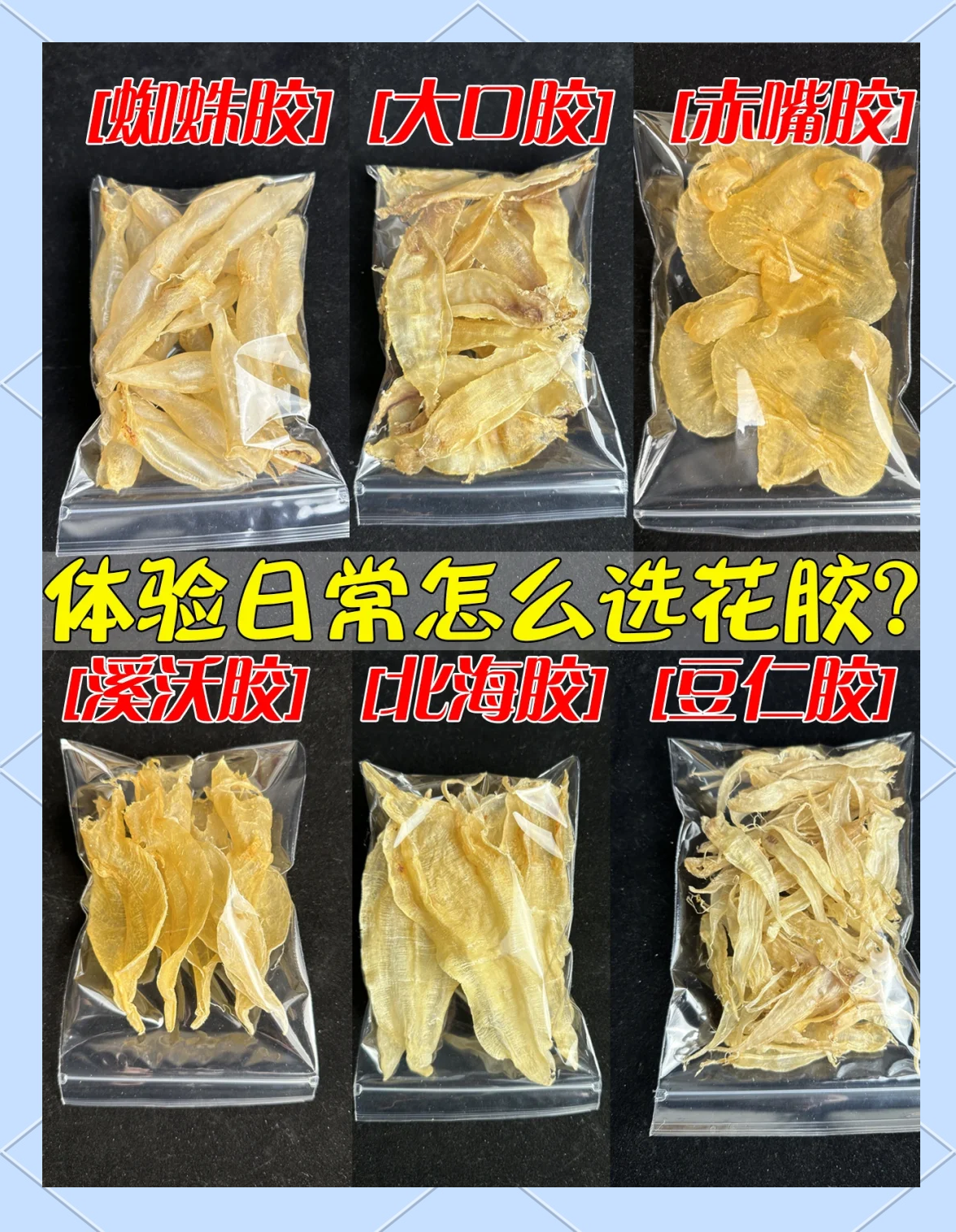 花胶小白必看：6款入门级花胶推荐
