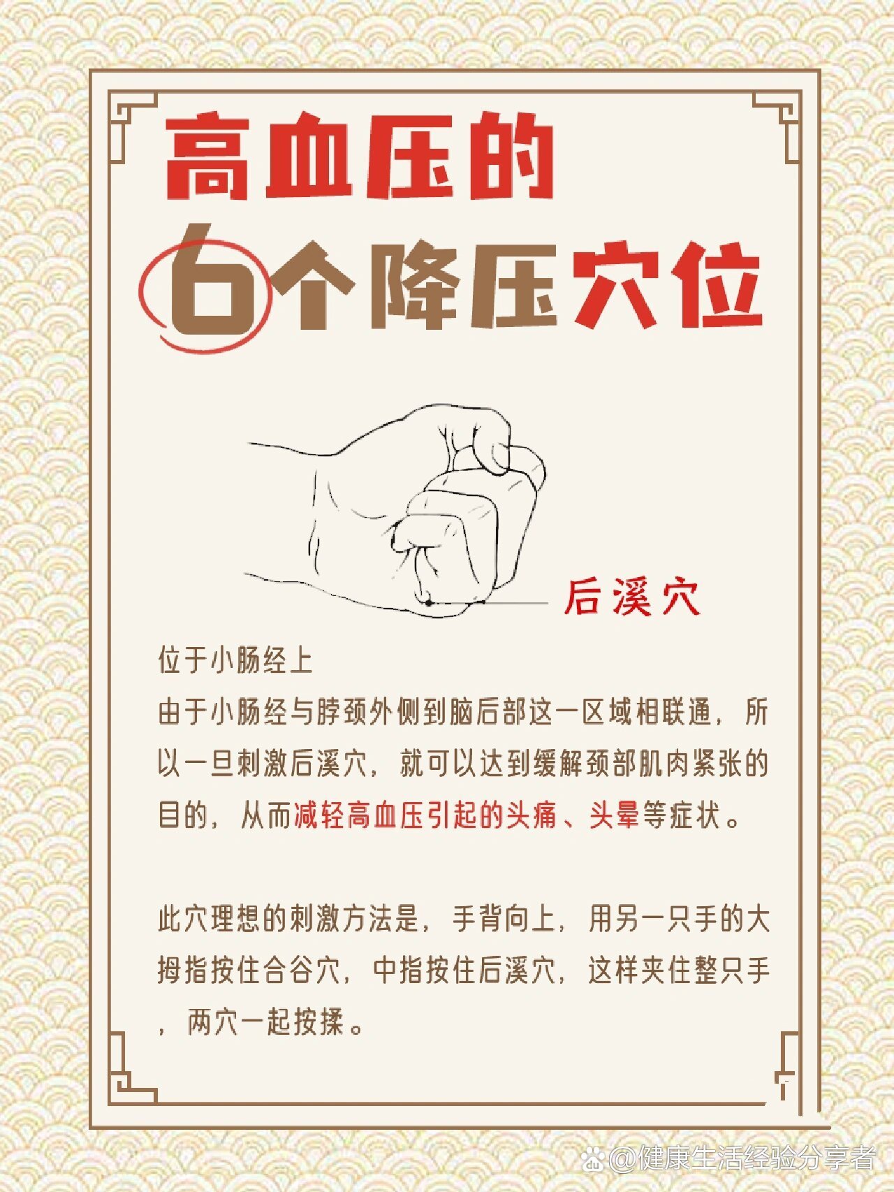 小肠经的作用功效图片