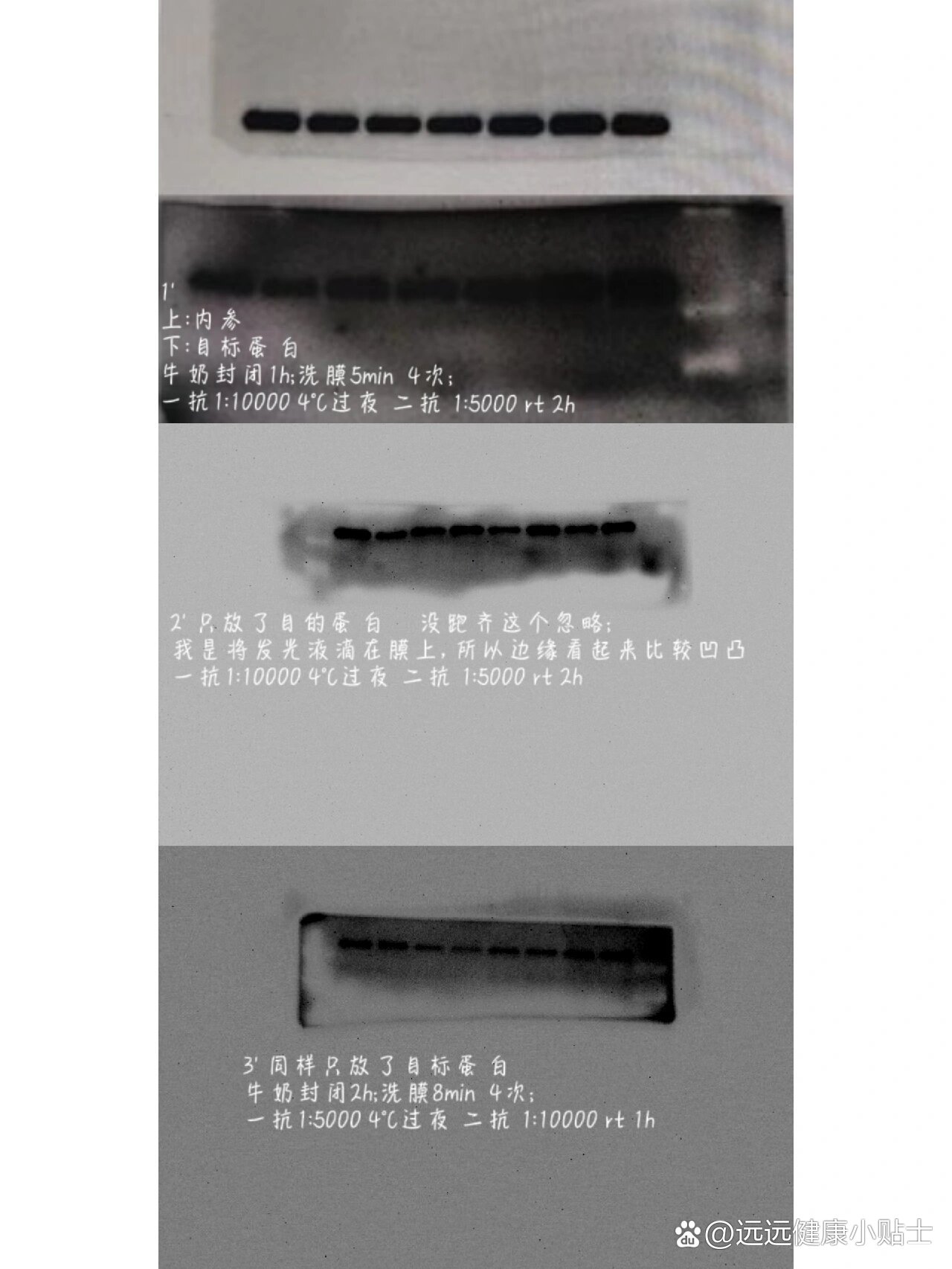 wb曝光结果 原因分析最近做了三次wb实验 边做边参考小🍠