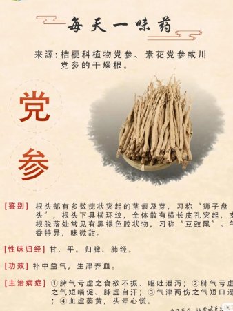 每天认识一种中药材~党参