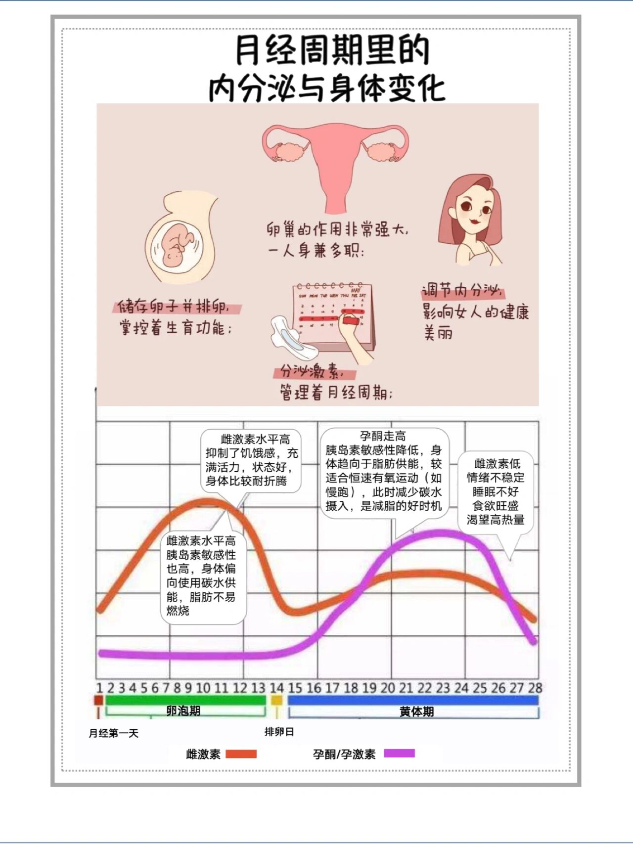 荷尔蒙周期性缺失图片