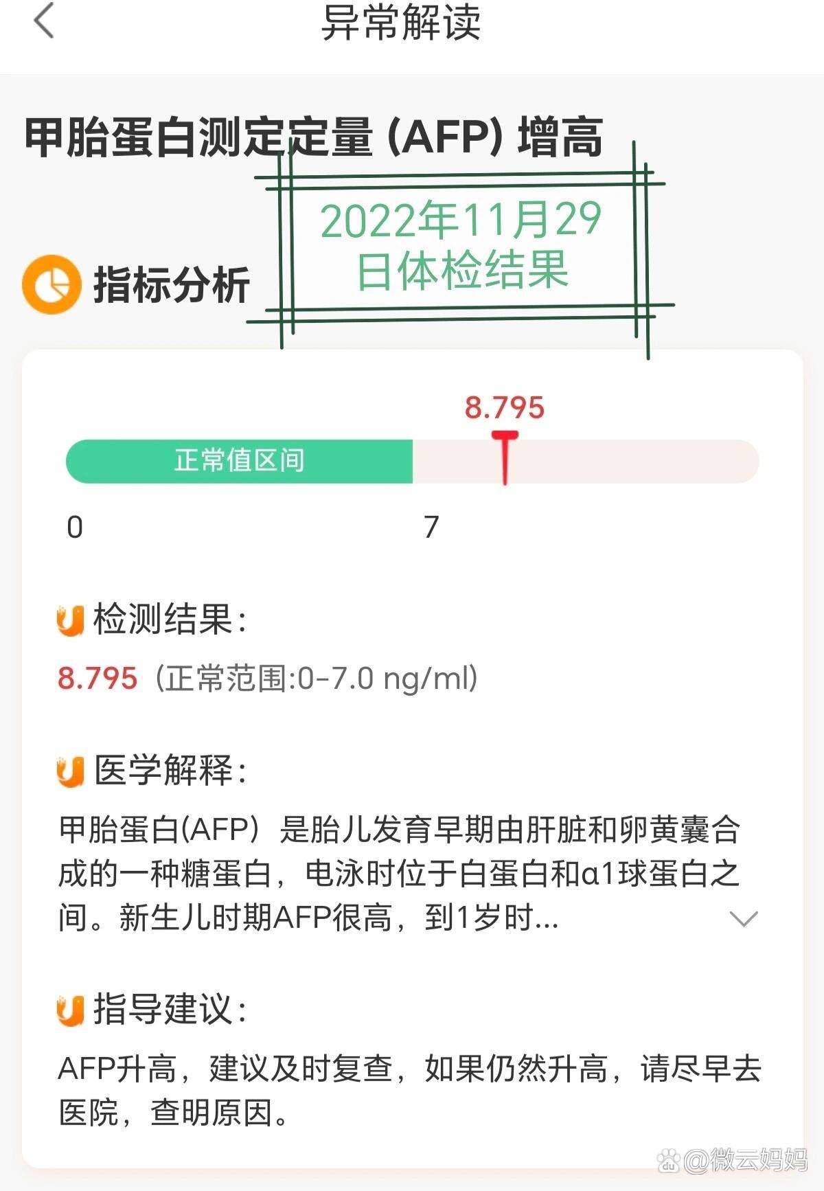 甲胎蛋白检查结果图图片