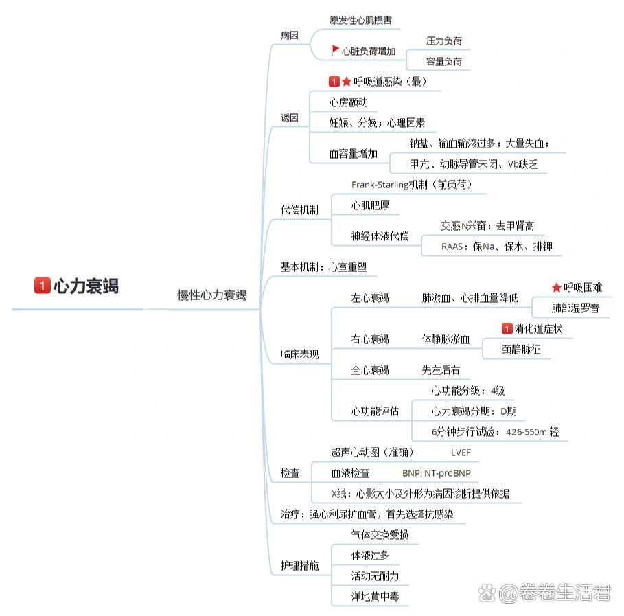 心智图法思维导图图片