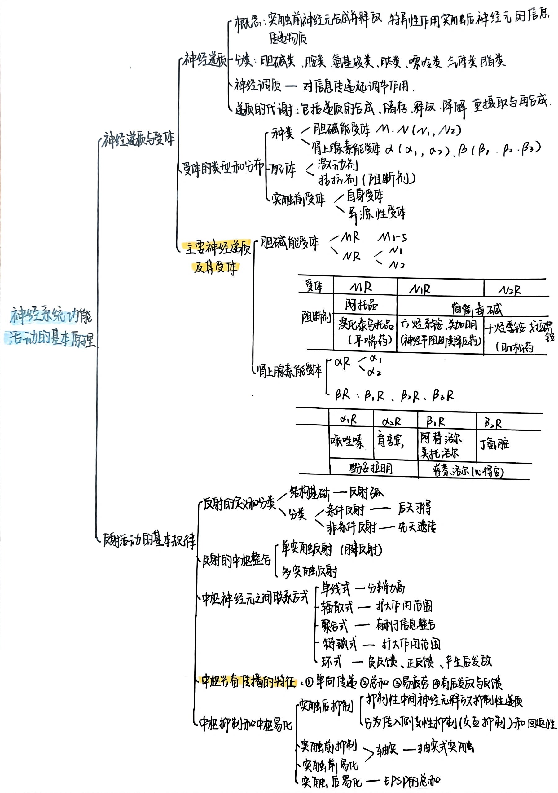 生理学第十章神经系统的功能思维导图