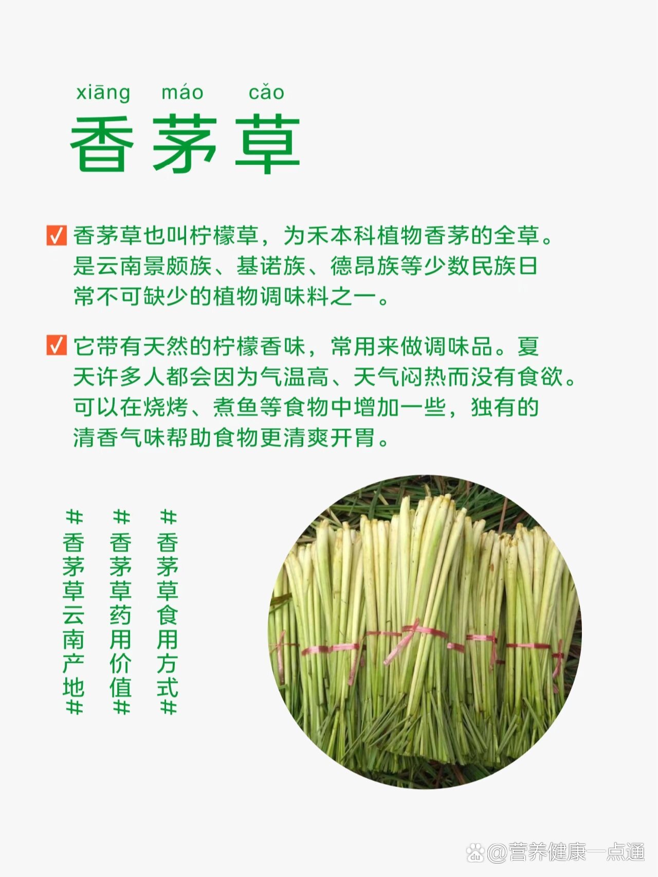 香茅草的功效 药用图片