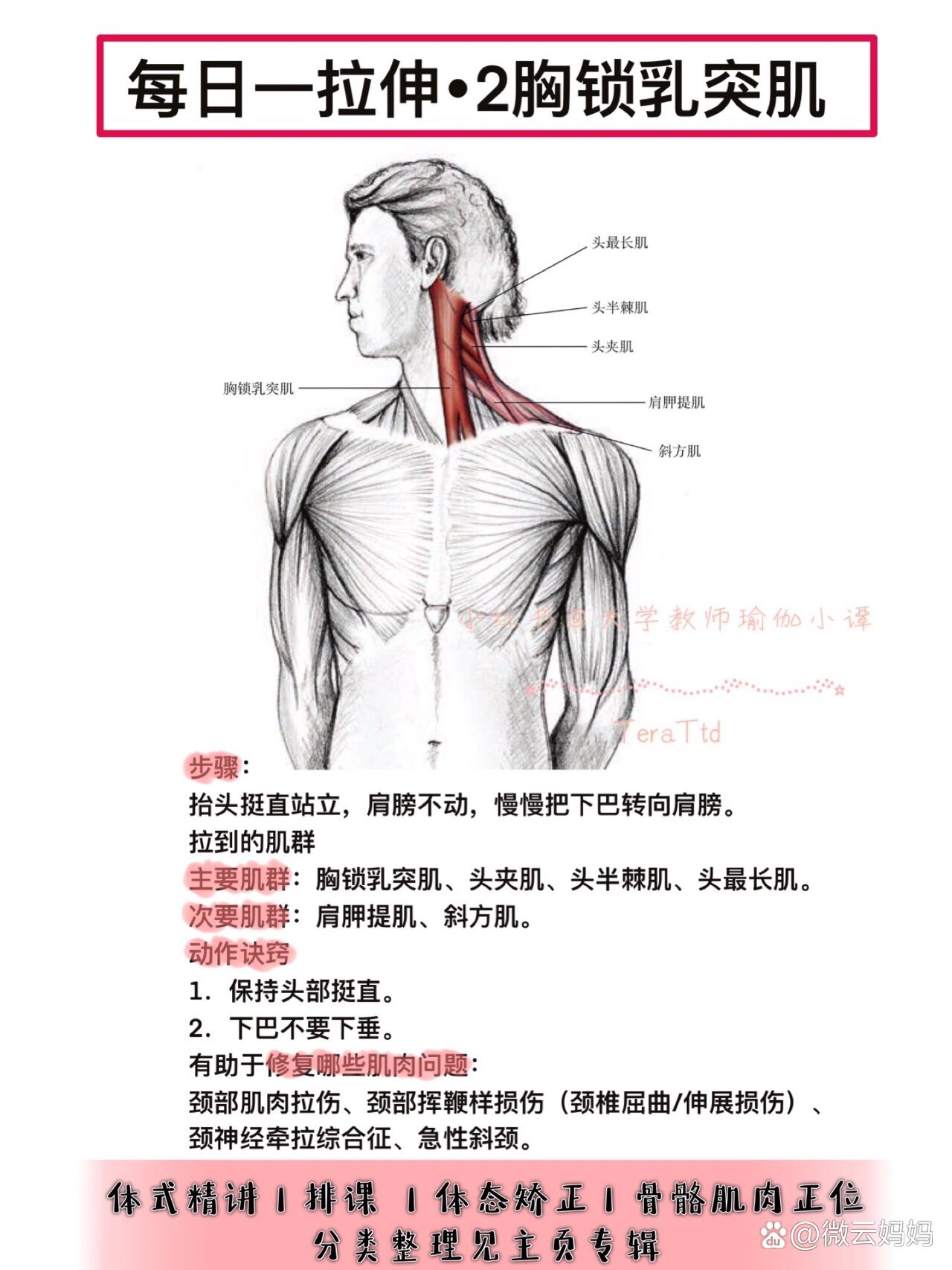 肩部拉伸动作图解图片