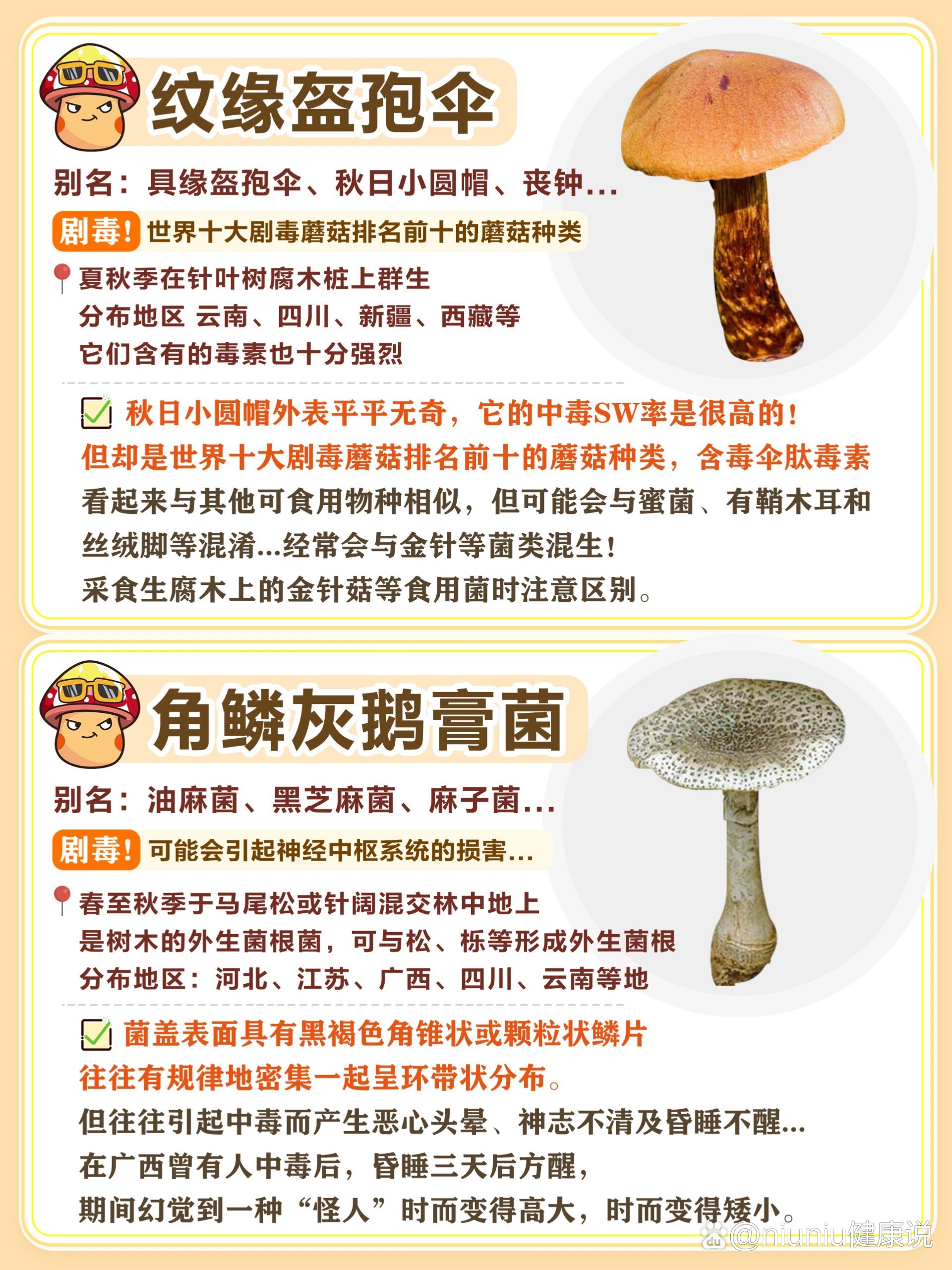 中国十大毒蘑菇 排名图片