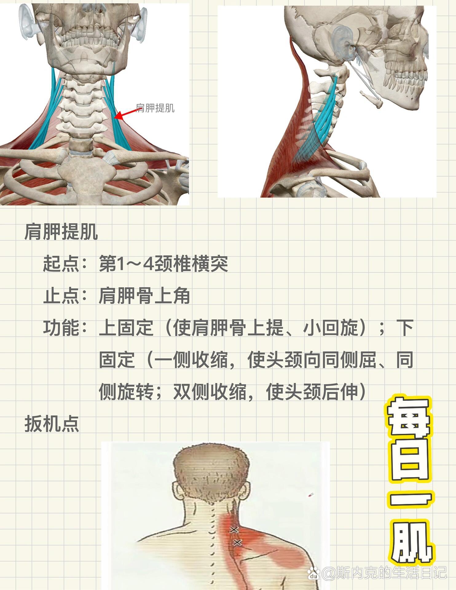 在另外一些场合