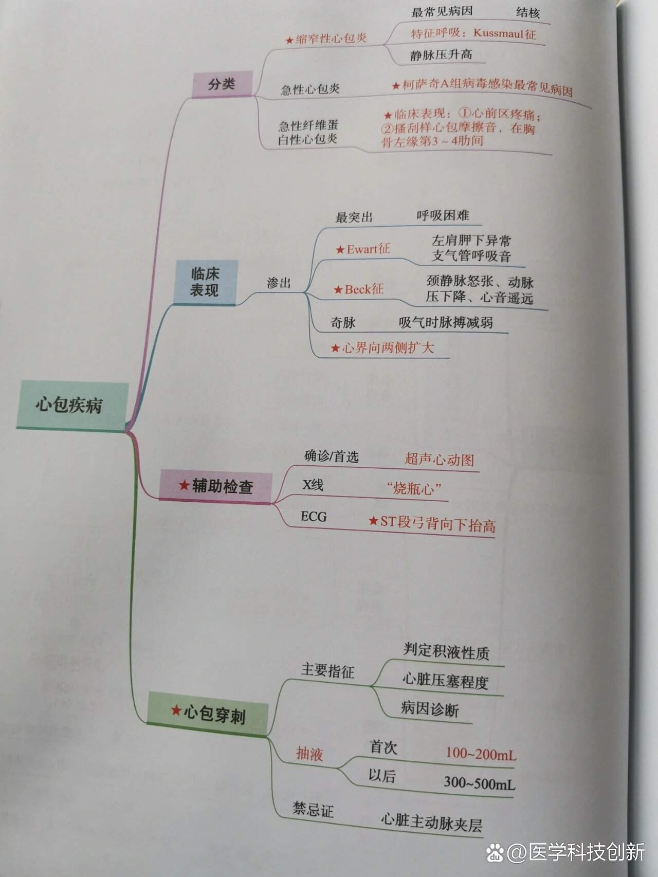 思维导图之循环系统