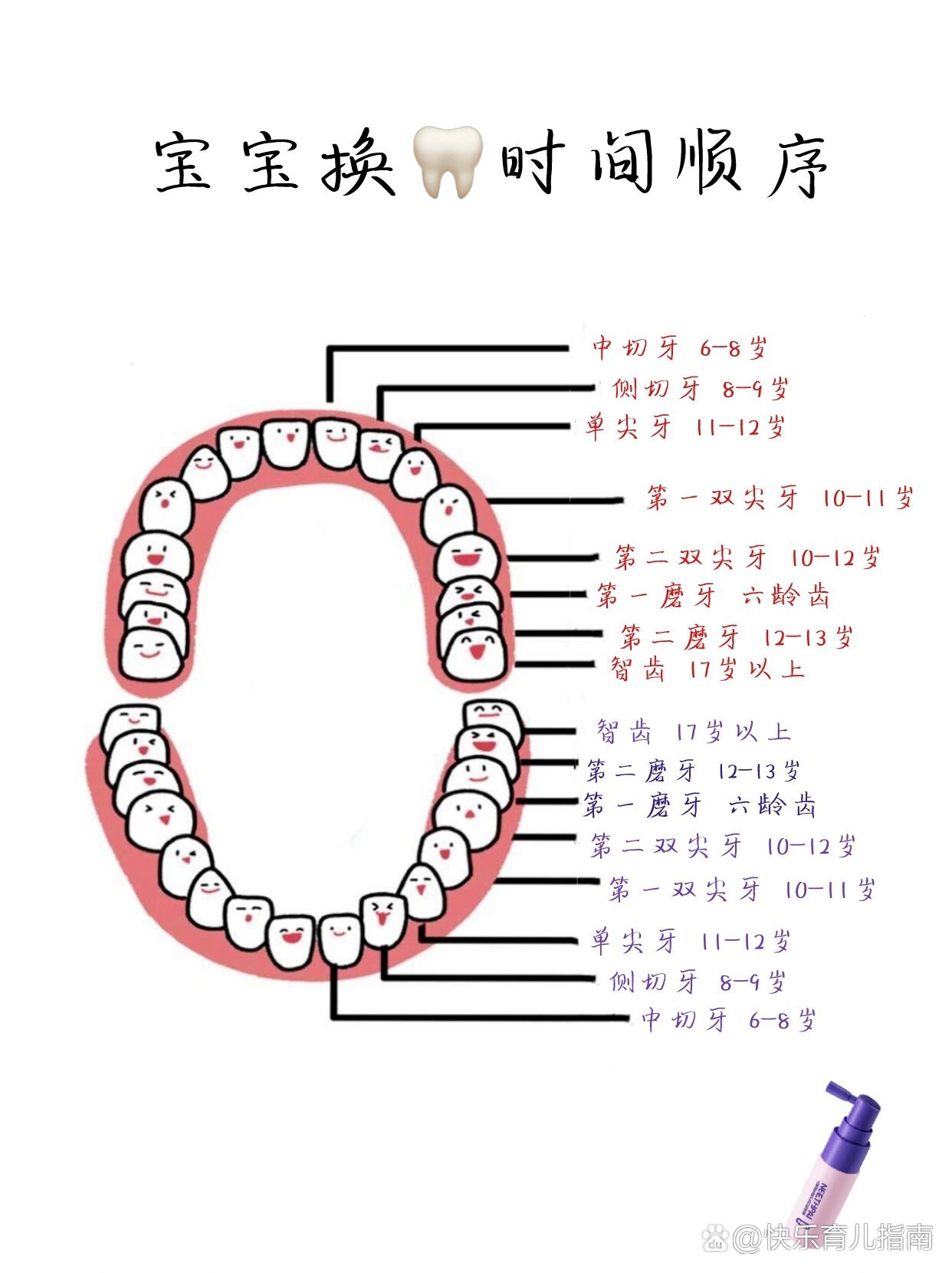 儿童换牙顺序掉牙图片