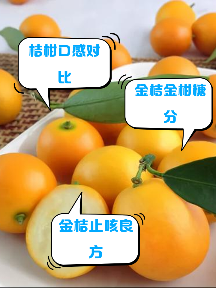 金桔和金柑的功效区别