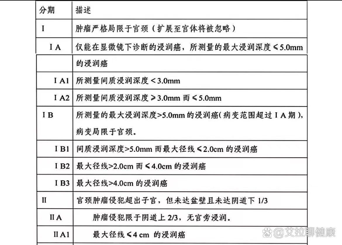 olga分期图片