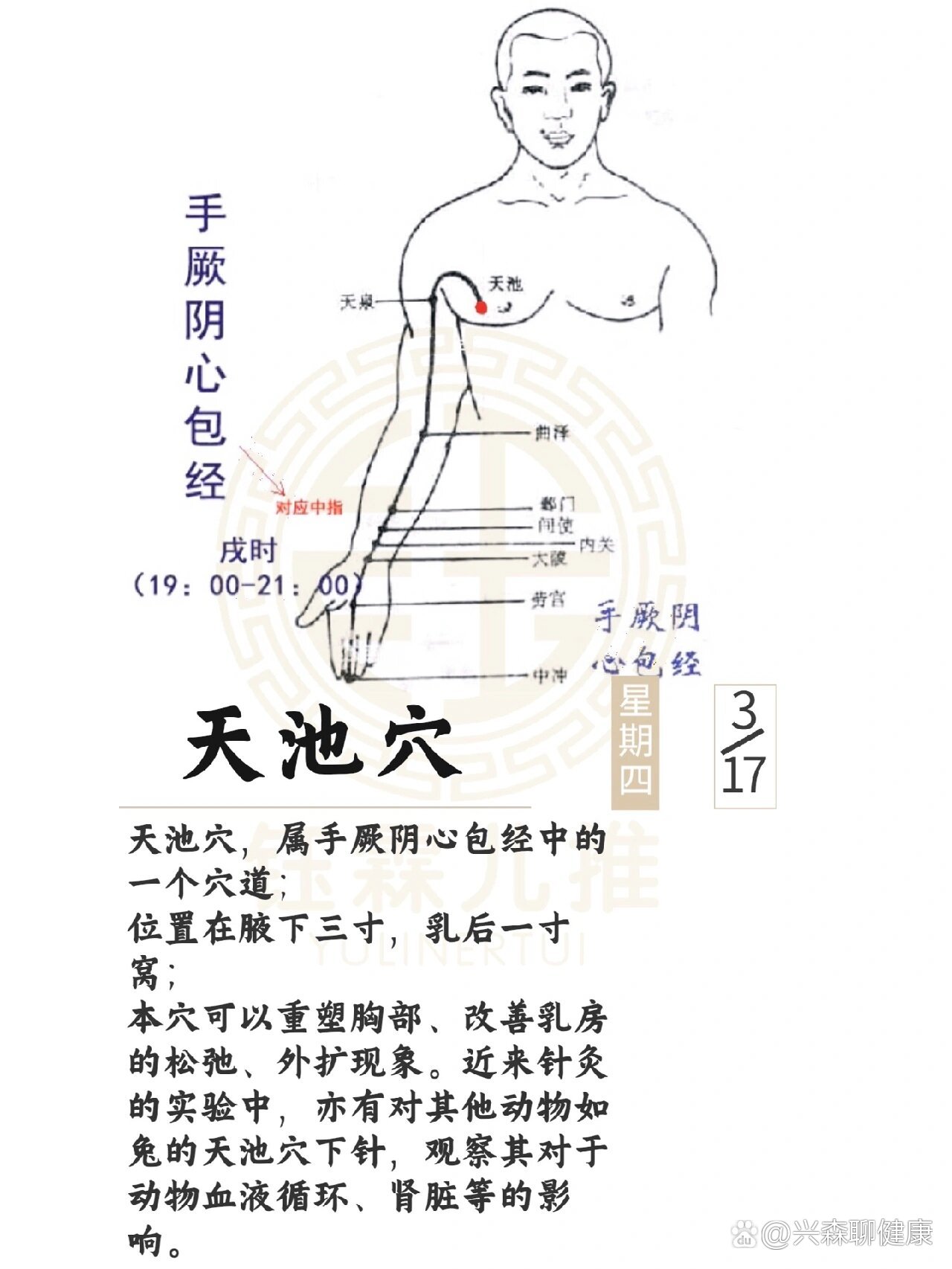 乳房学位经络图片图片