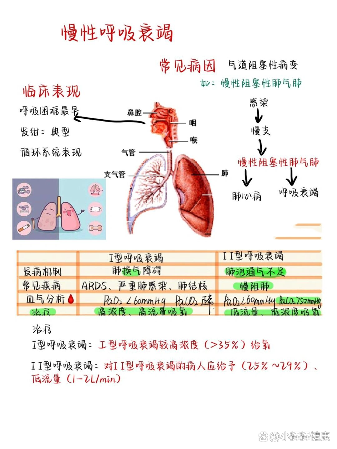 呼吸衰竭名词解释图片