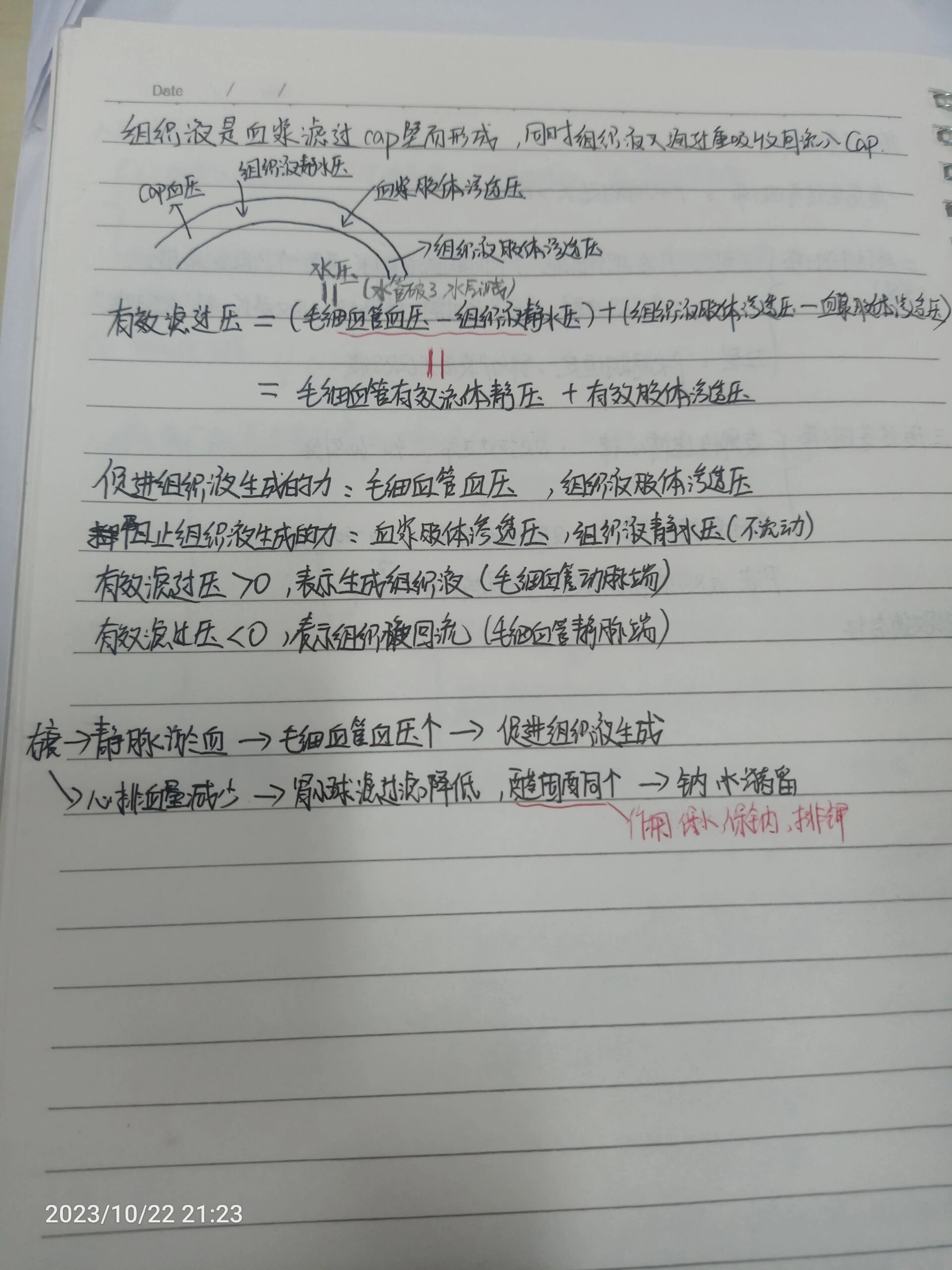 毛细血管有效滤过压