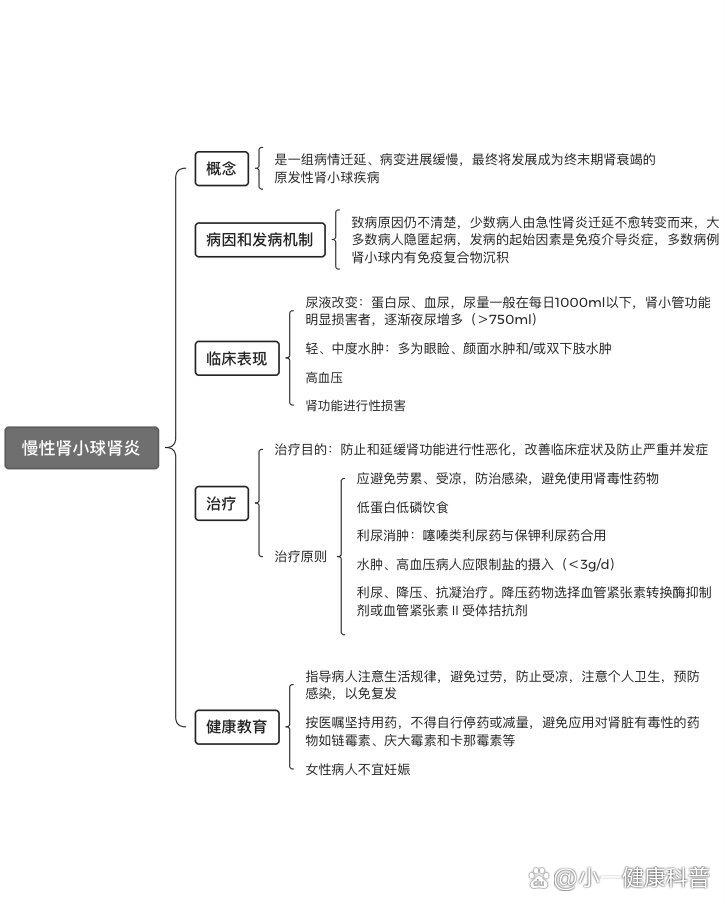 肾的结构思维导图图片