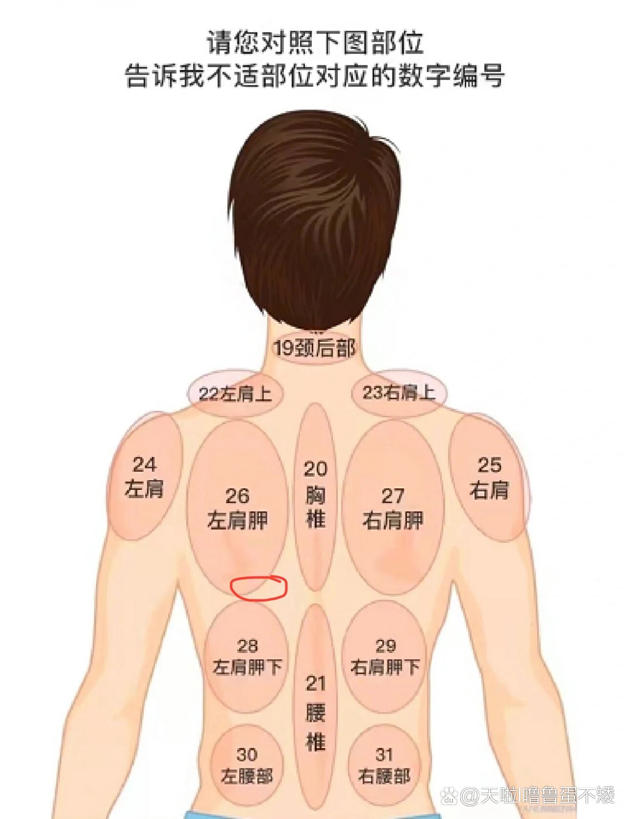 后背左边疼图片