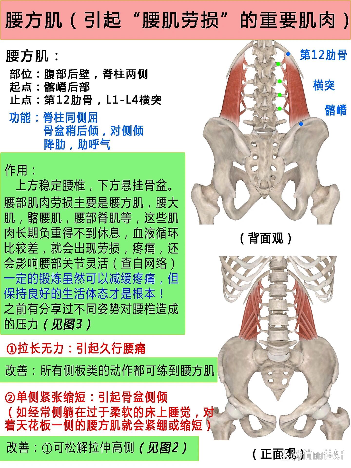 腰方肌牵伸图片