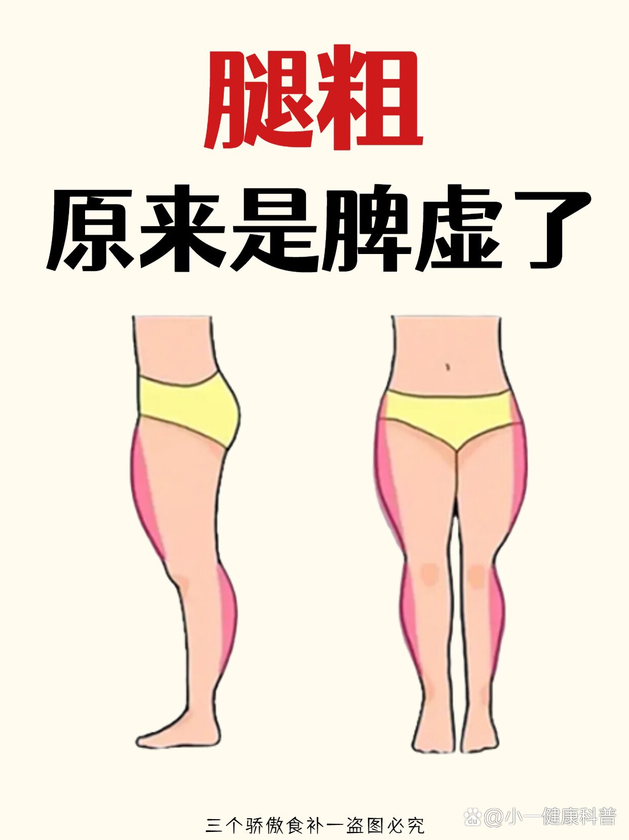 腿粗的真正原因找到了丨原来是脾虚湿气大